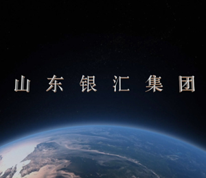 集團(tuán)視頻